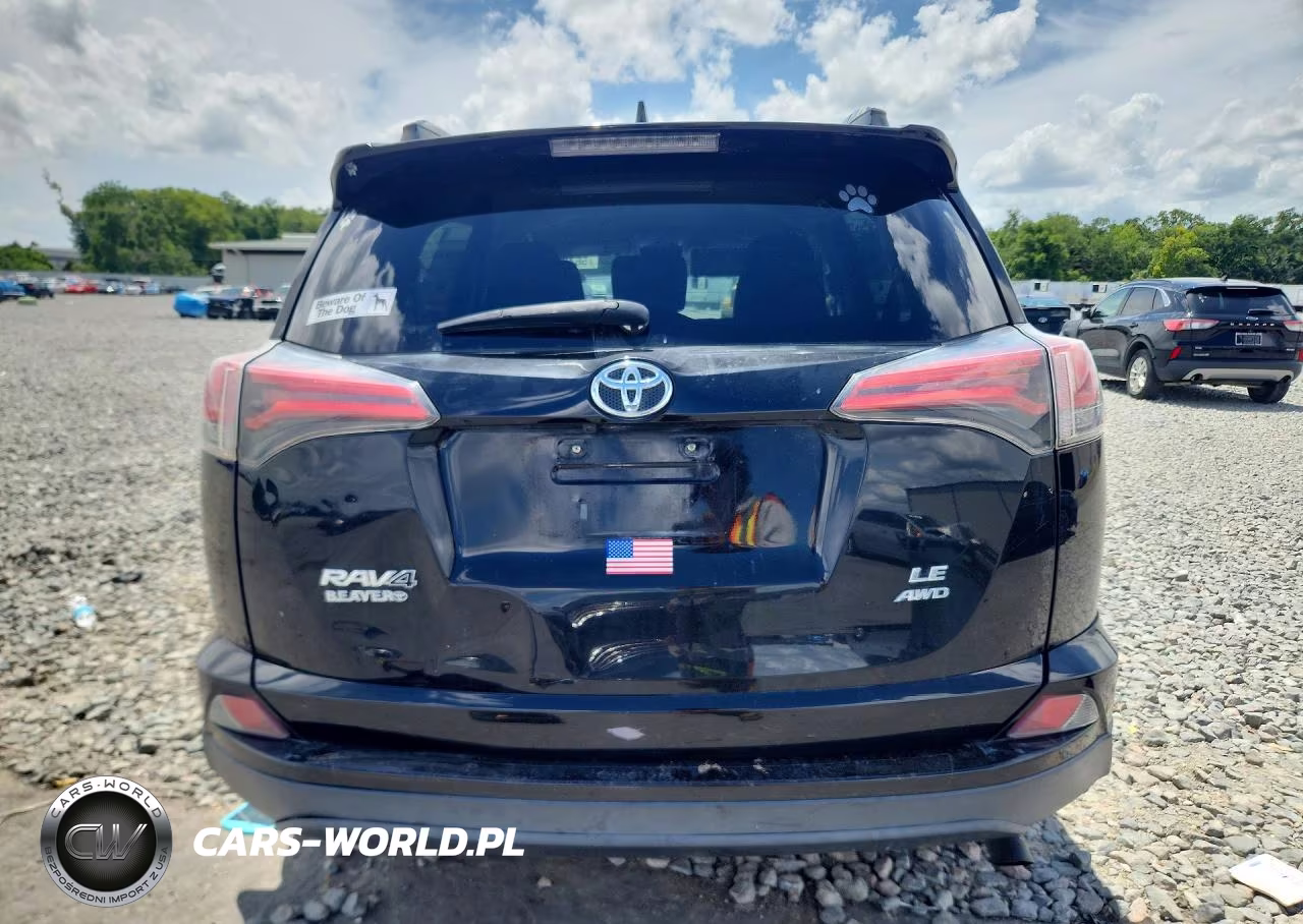 2017 Toyota Rav4 Le VIN:2T3BFREV3HW620753 - 6
