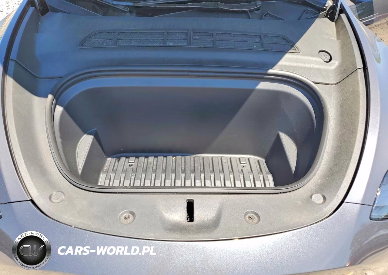 2023 Tesla Model Y VIN:7SAYGDEE9PF836981 - 11