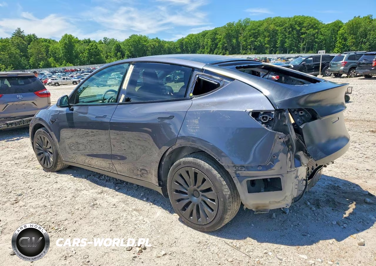 2023 Tesla Model Y VIN:7SAYGDEE9PF836981 - 2
