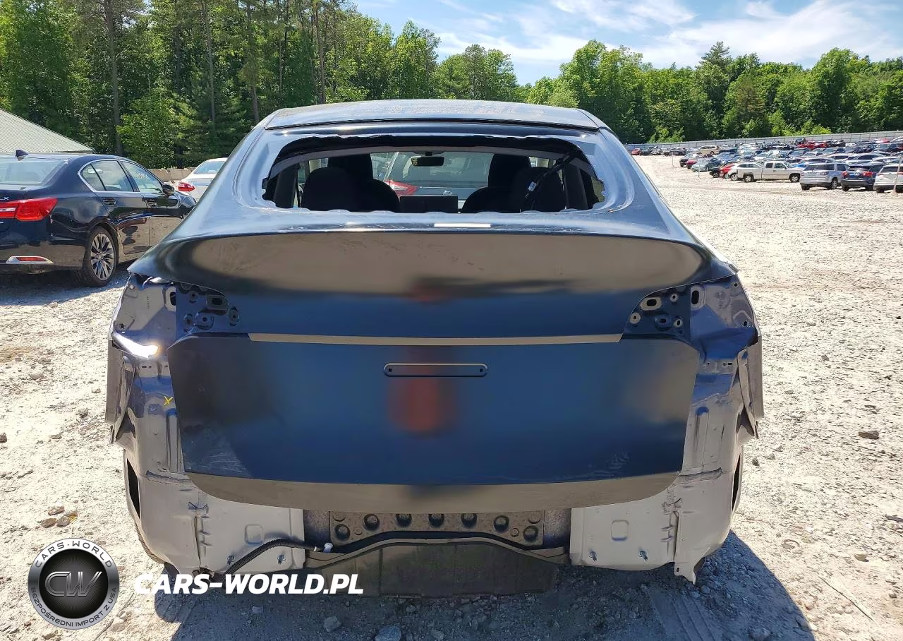 2023 Tesla Model Y VIN:7SAYGDEE9PF836981 - 6
