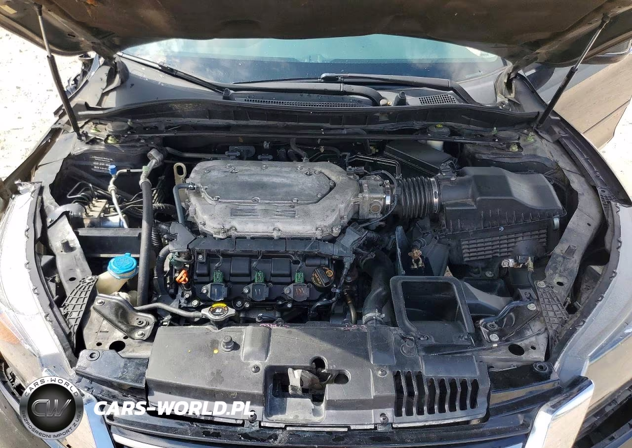 2014 Honda Accord Exl VIN:1HGCR3F85EA038439 - 11