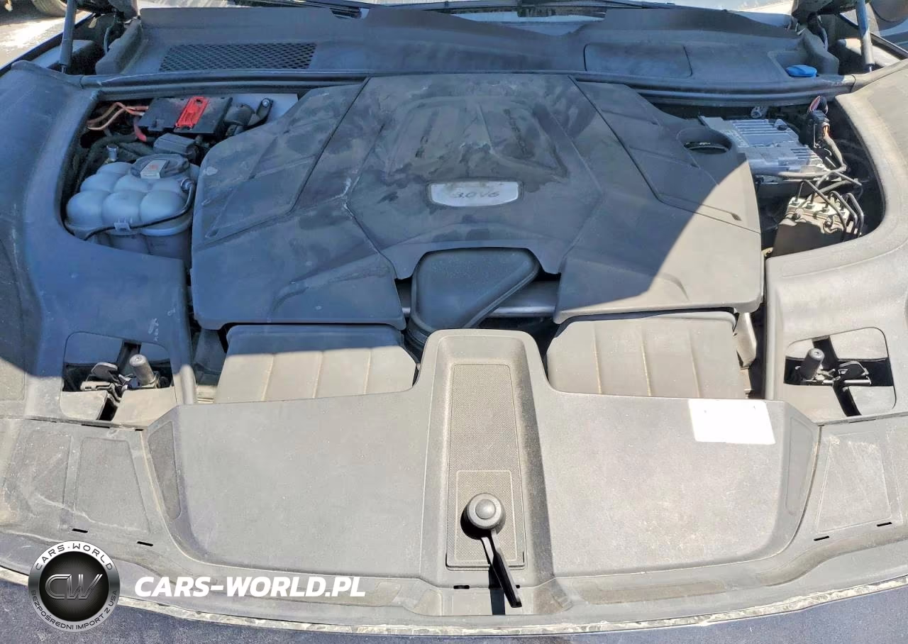 2019 Porsche Cayenne VIN:WP1AA2AY0KDA01144 - 12