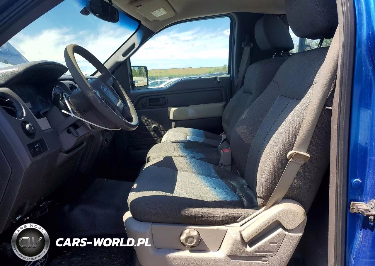 2009 Ford F150 VIN:1FTRF12W49KB74801 - 10