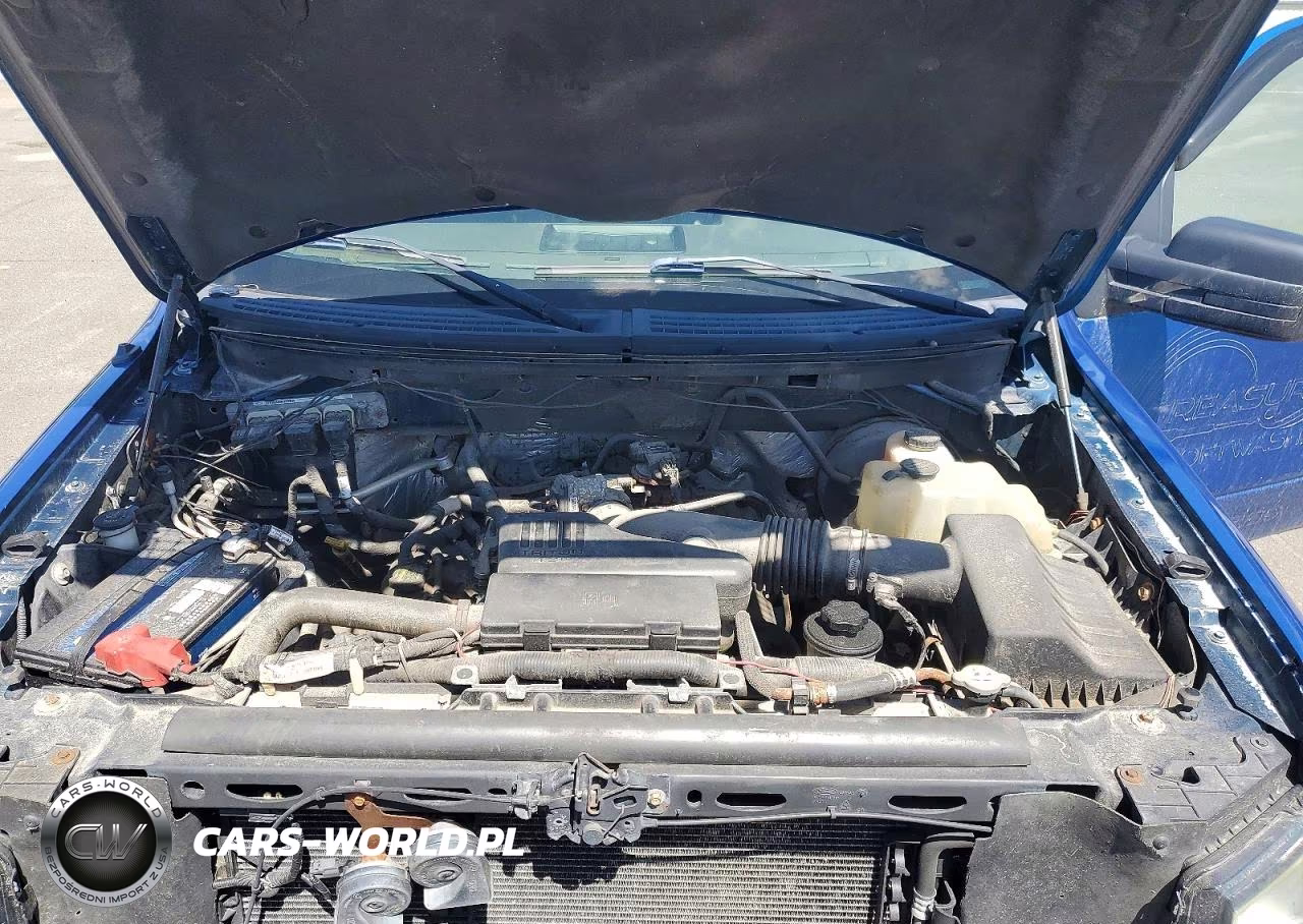 2009 Ford F150 VIN:1FTRF12W49KB74801 - 11