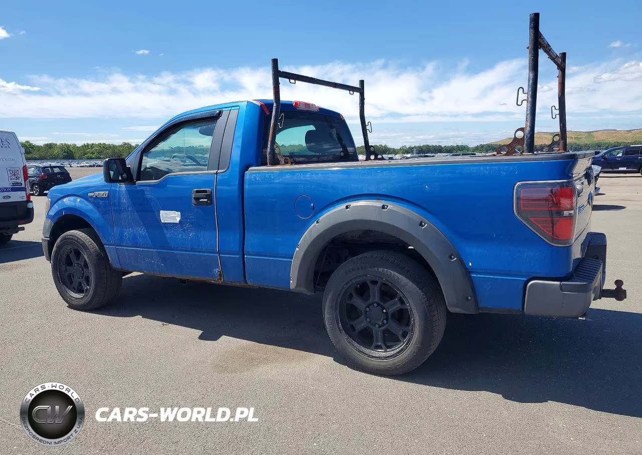 2009 Ford F150 VIN:1FTRF12W49KB74801 - 2
