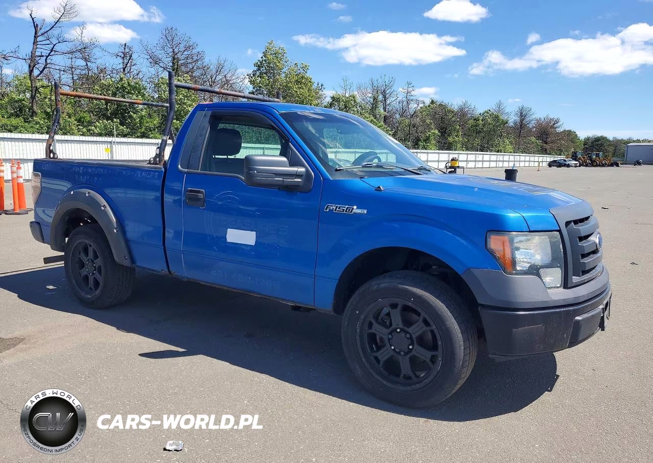 2009 Ford F150 VIN:1FTRF12W49KB74801 - 4