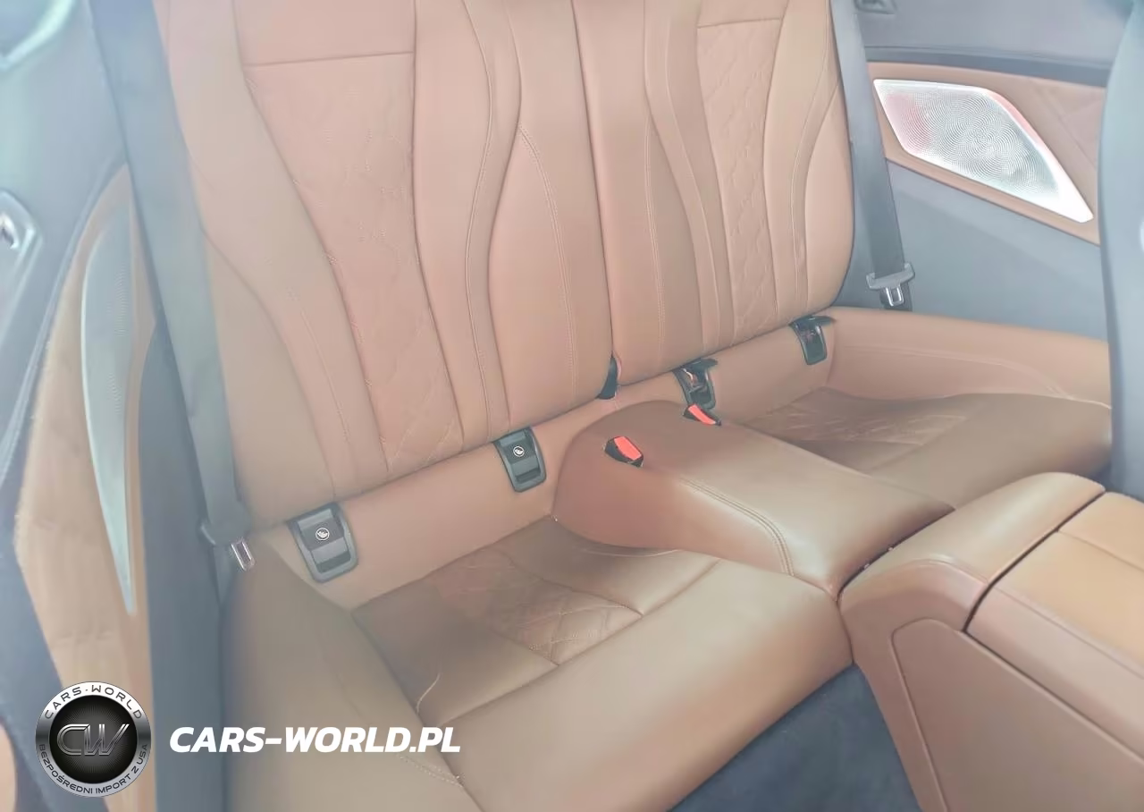 2020 BMW M8 VIN:WBSDZ0C05LCE10052 - 10