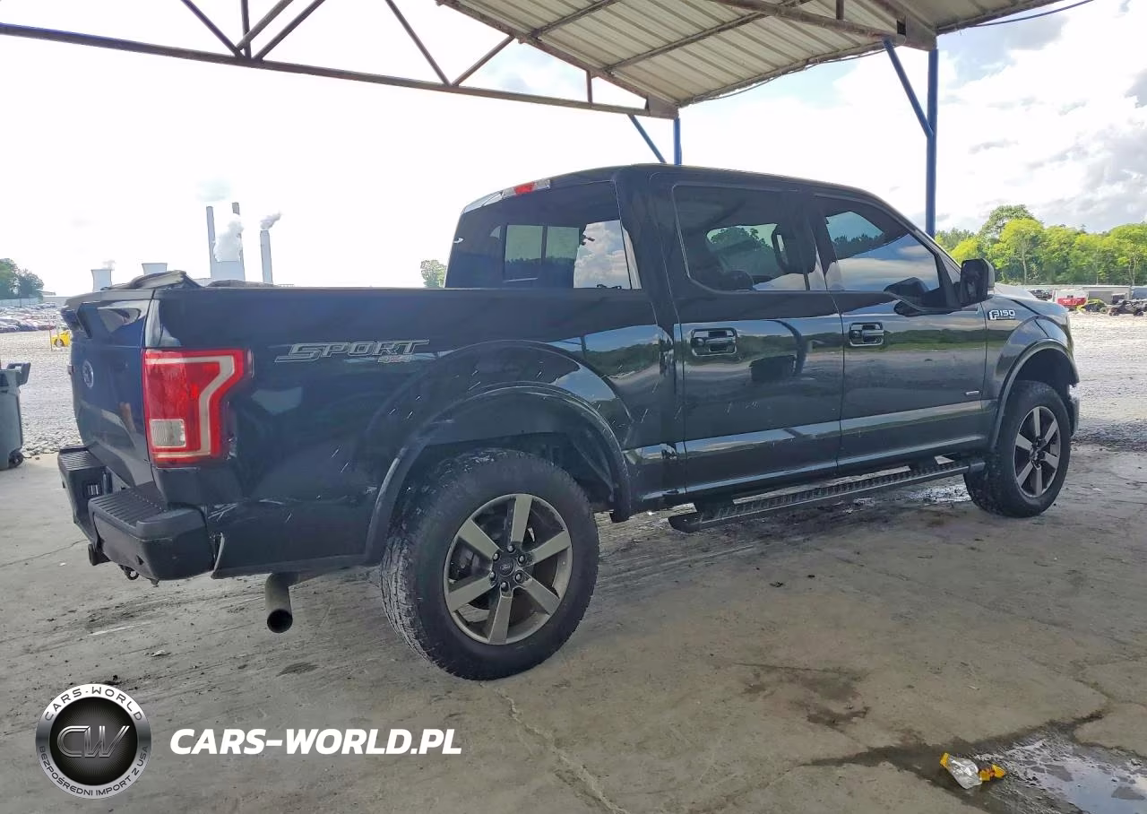 2017 Ford F150 Supercrew VIN:1FTEW1EP0HFA83860 - 3
