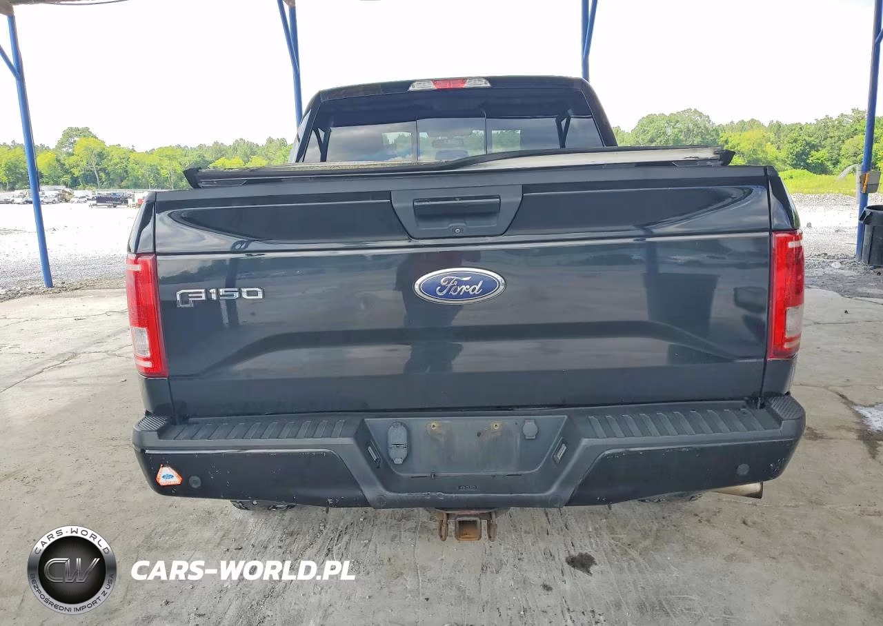 2017 Ford F150 Supercrew VIN:1FTEW1EP0HFA83860 - 6