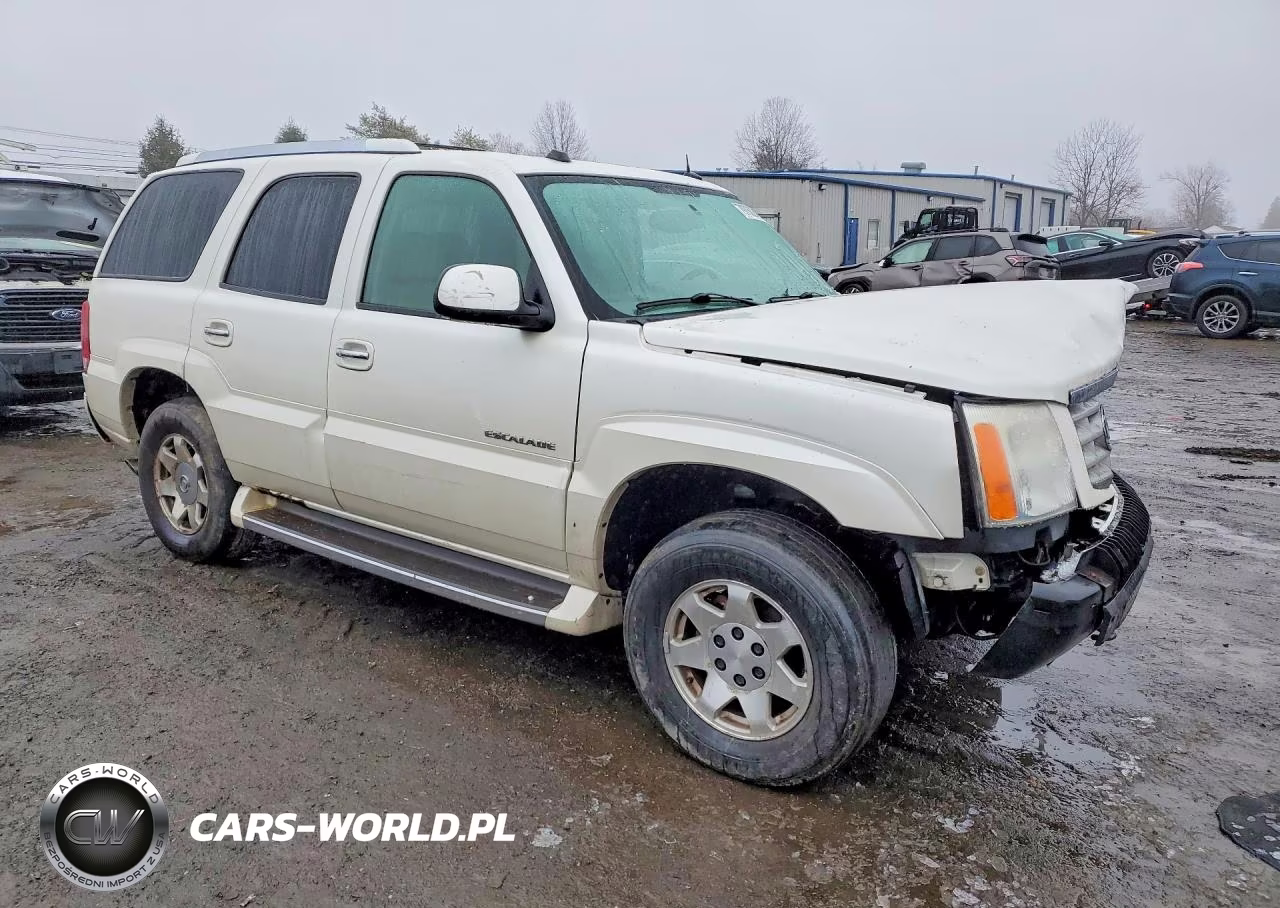 2004 Cadillac Escalade Luxury VIN:1GYEK63N14R253821 - 4
