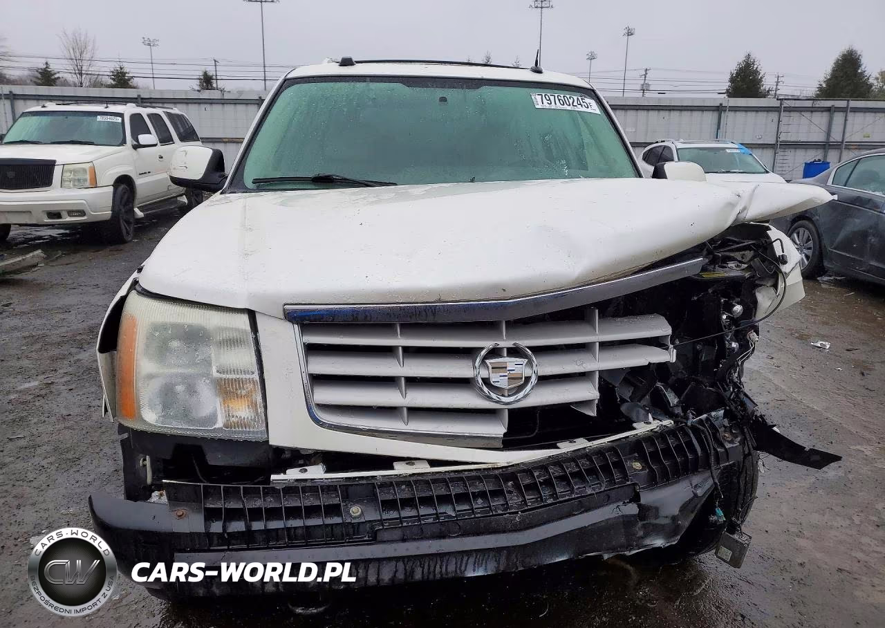 2004 Cadillac Escalade Luxury VIN:1GYEK63N14R253821 - 5