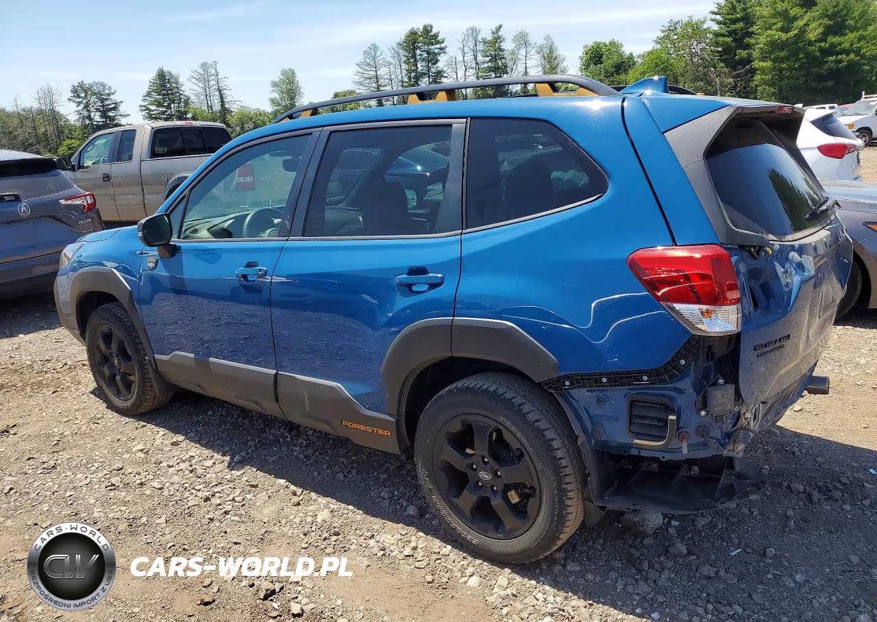 2022 Subaru Forester Wilderness VIN:JF2SKAMC8NH442581 - 2