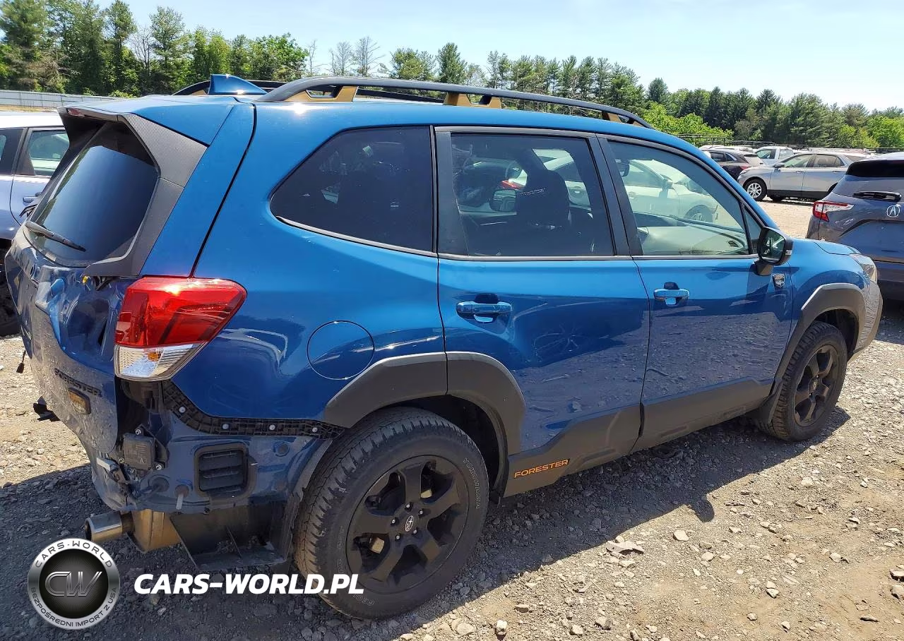 2022 Subaru Forester Wilderness VIN:JF2SKAMC8NH442581 - 3