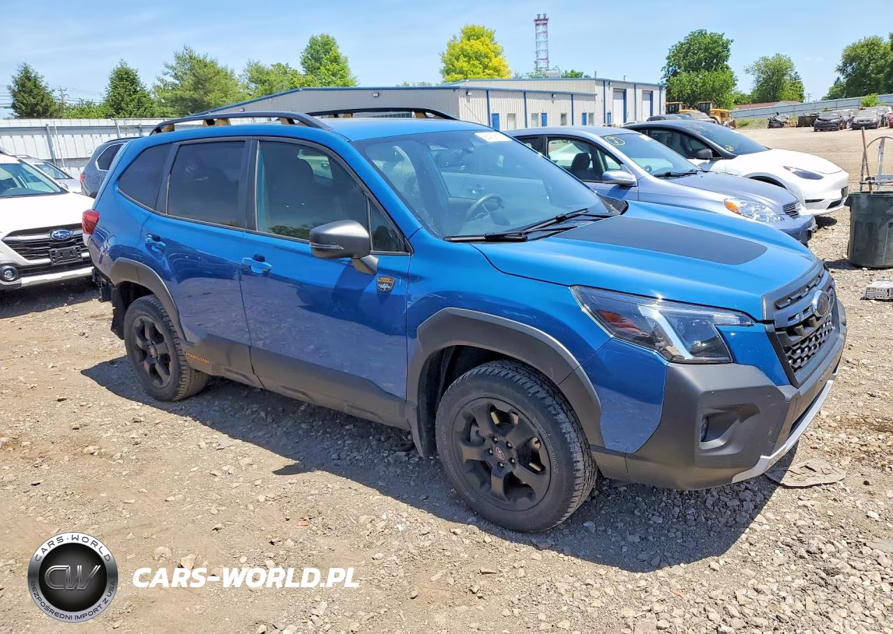 2022 Subaru Forester Wilderness VIN:JF2SKAMC8NH442581 - 4