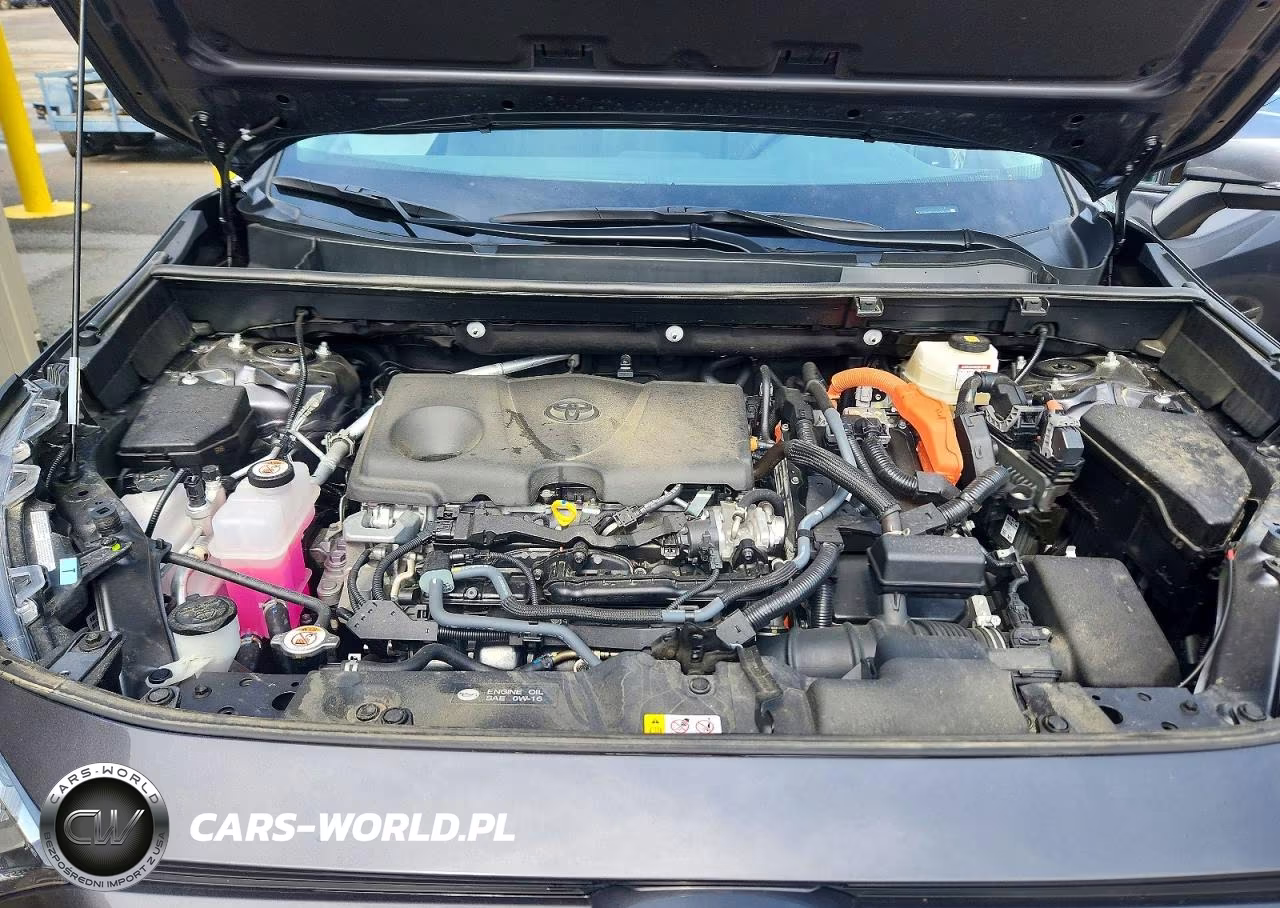 2025 Toyota Rav4 Hybrid Xle VIN:4T3RWRFVXSU194208 - 12