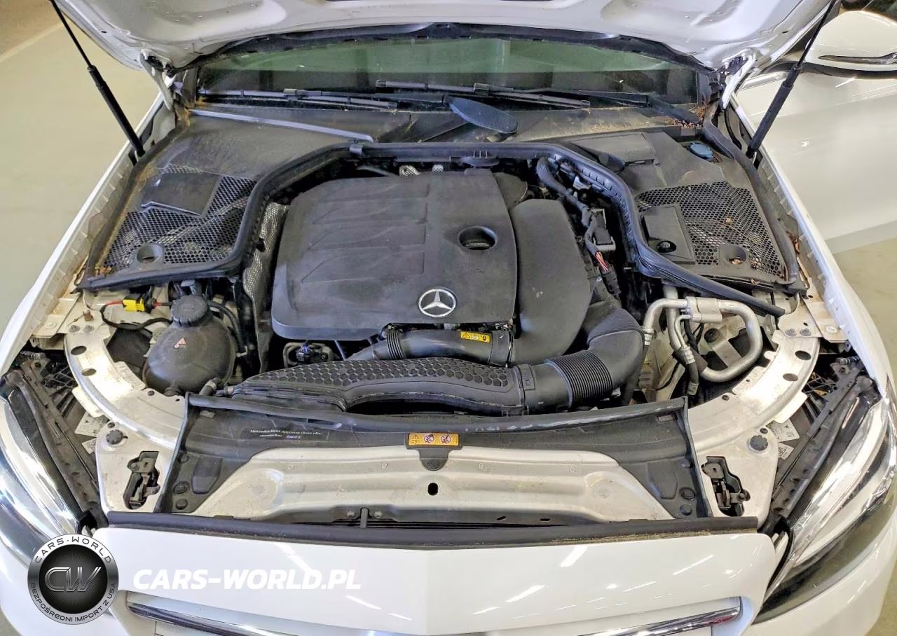 2019 Mercedes-Benz C 300 4Matic VIN:55SWF8EBXKU296083 - 11