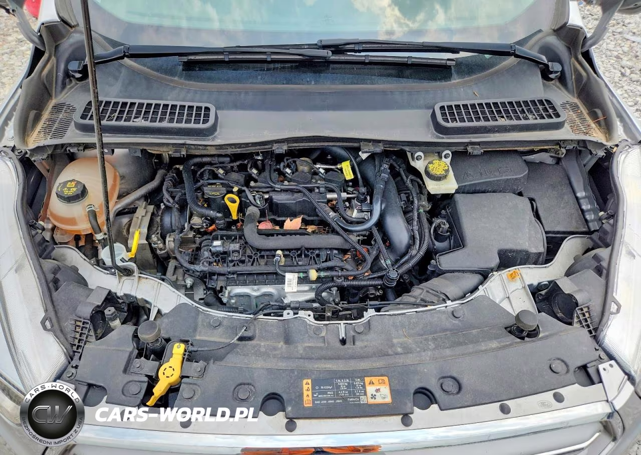 2019 Ford Escape Se VIN:1FMCU9GD3KUA78102 - 11