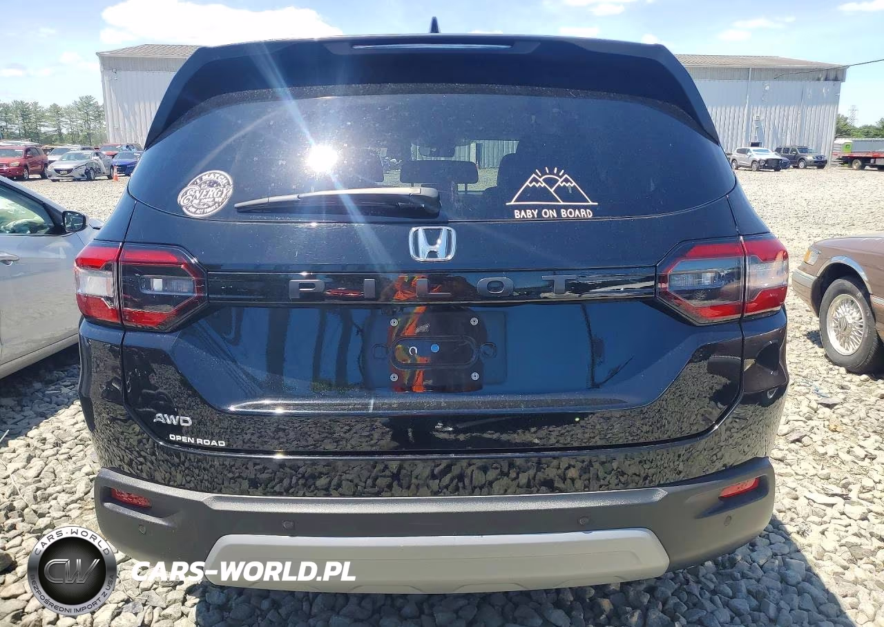 2024 Honda Pilot Exl VIN:5FNYG1H44RB012193 - 6