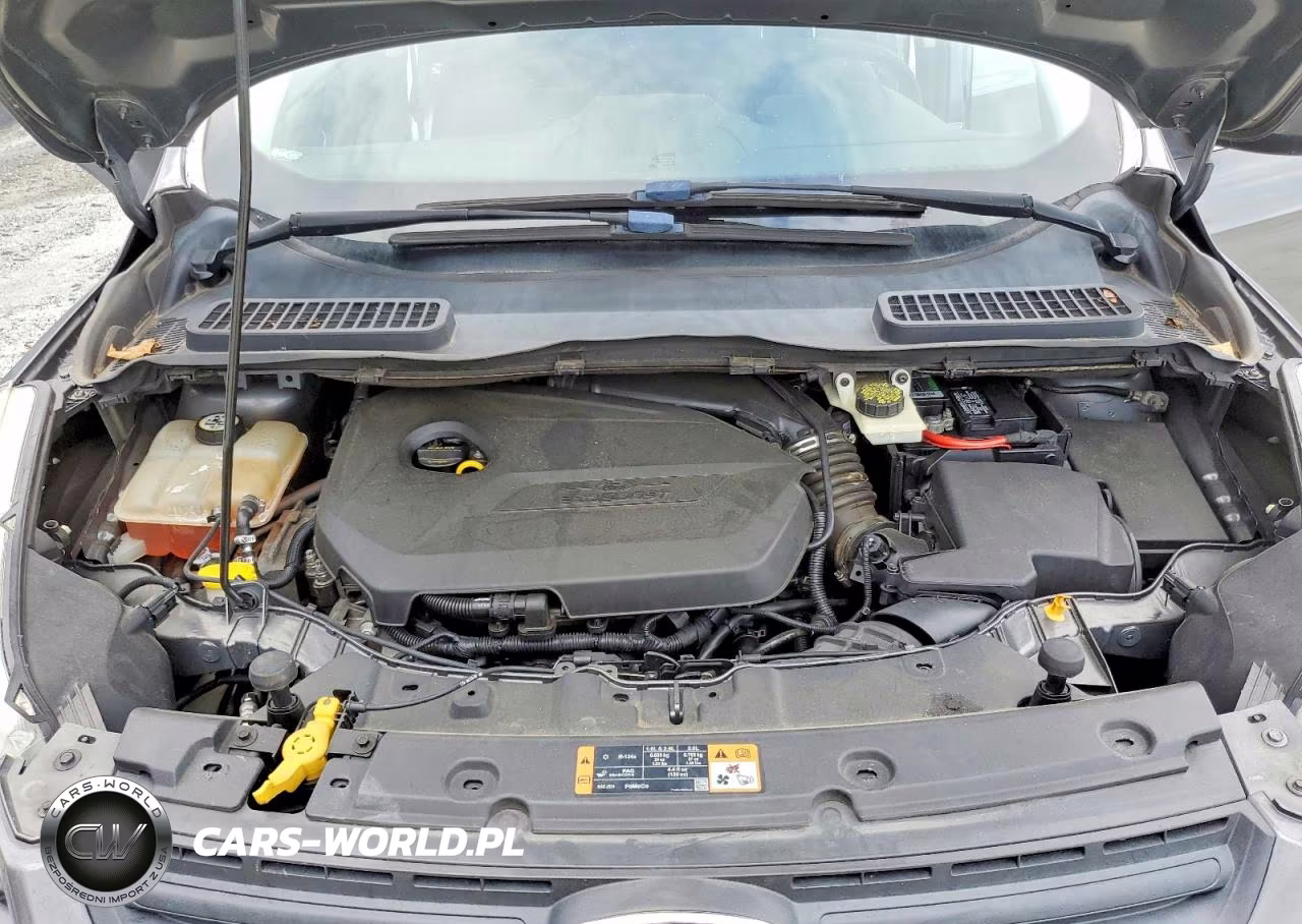 2014 Ford Escape Se VIN:1FMCU0GX5EUE07022 - 11
