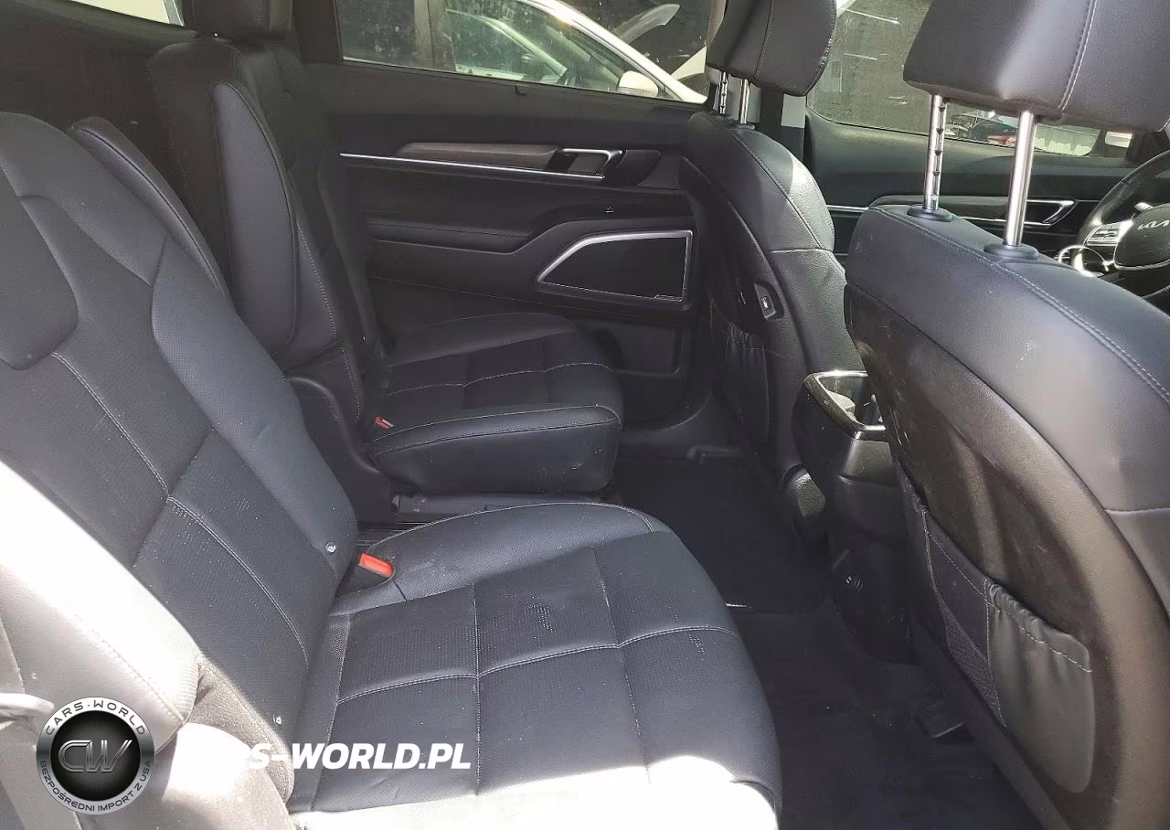 2022 Kia Telluride Ex VIN:5XYP3DHC0NG325535 - 11