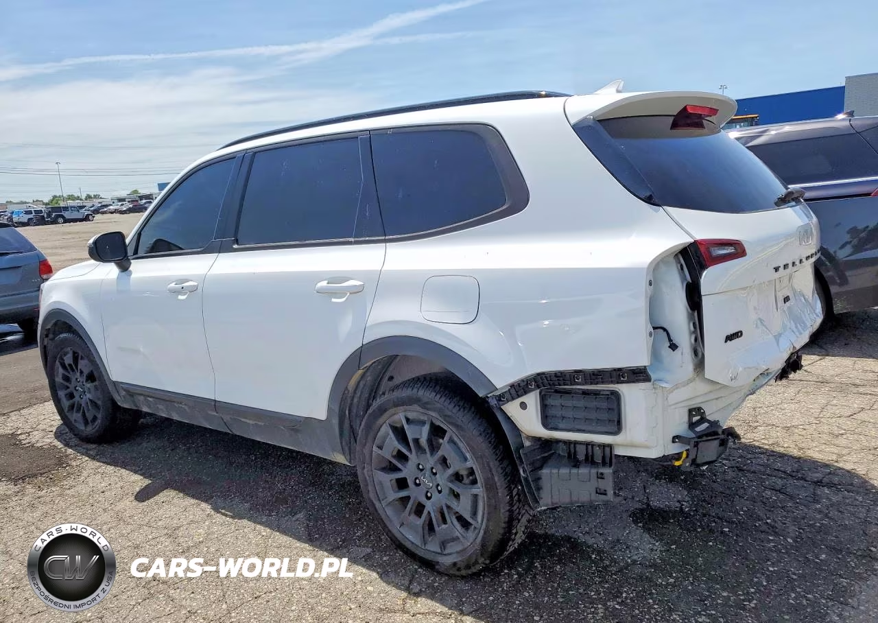 2022 Kia Telluride Ex VIN:5XYP3DHC0NG325535 - 2
