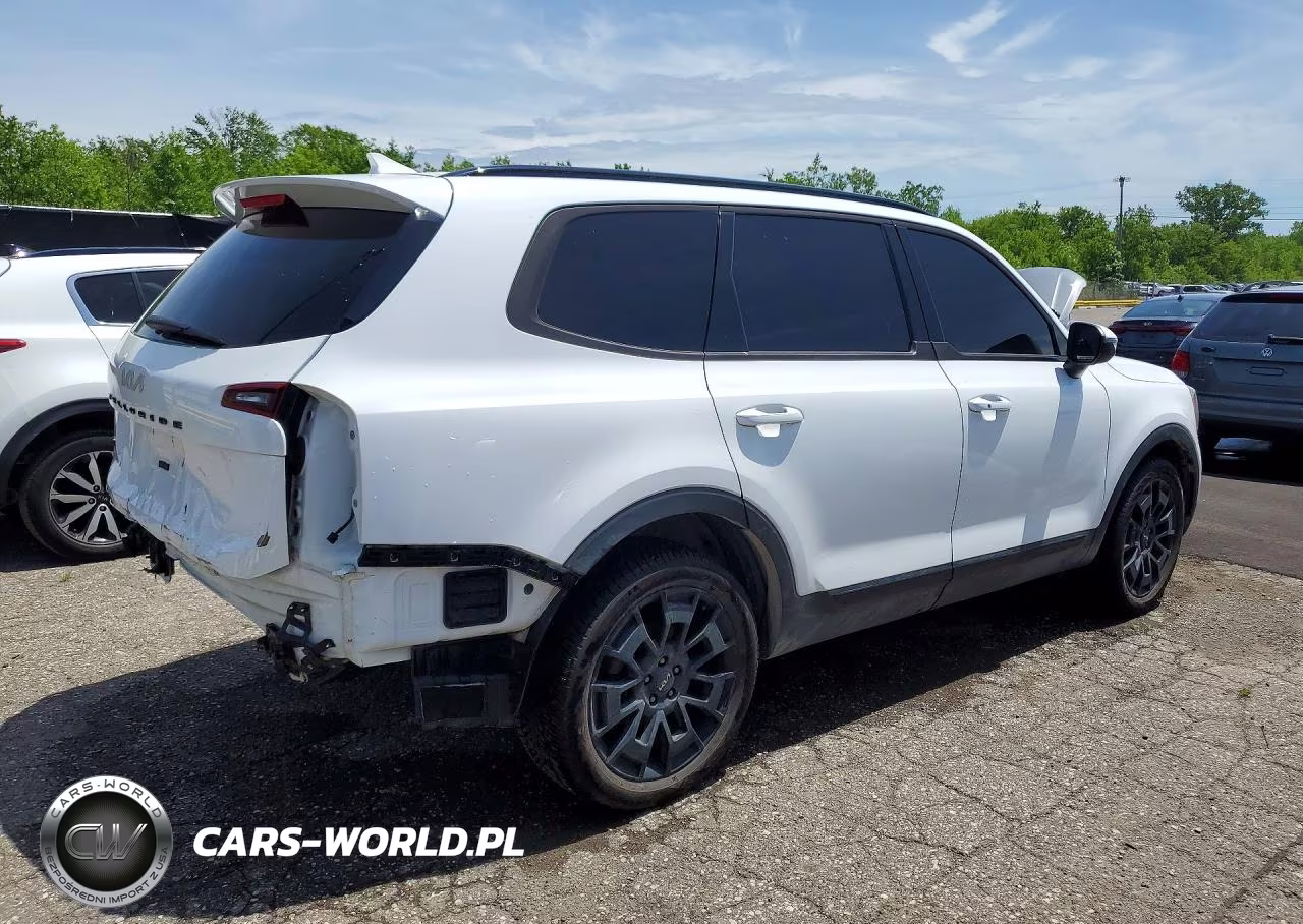 2022 Kia Telluride Ex VIN:5XYP3DHC0NG325535 - 3