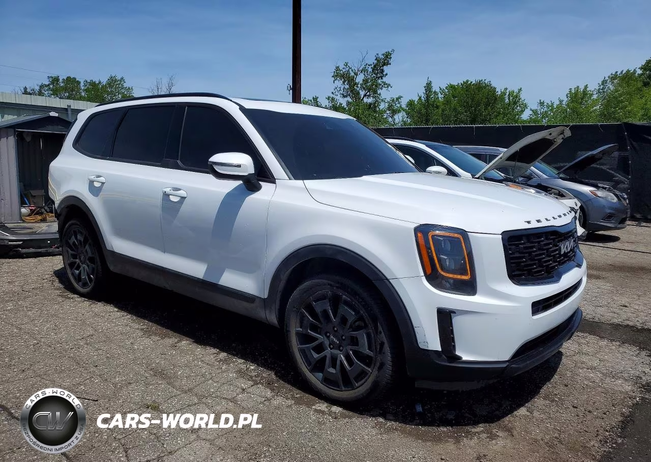 2022 Kia Telluride Ex VIN:5XYP3DHC0NG325535 - 4