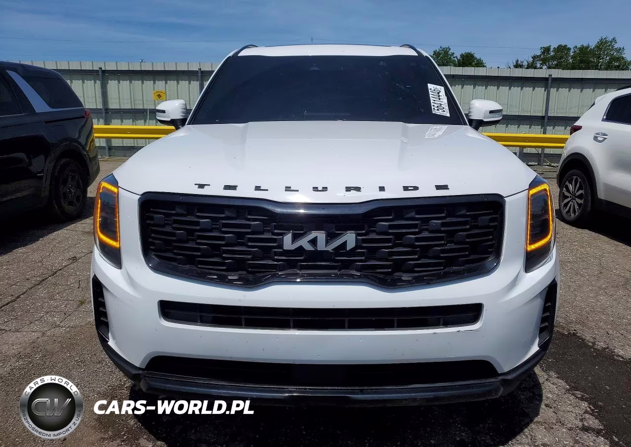 2022 Kia Telluride Ex VIN:5XYP3DHC0NG325535 - 5