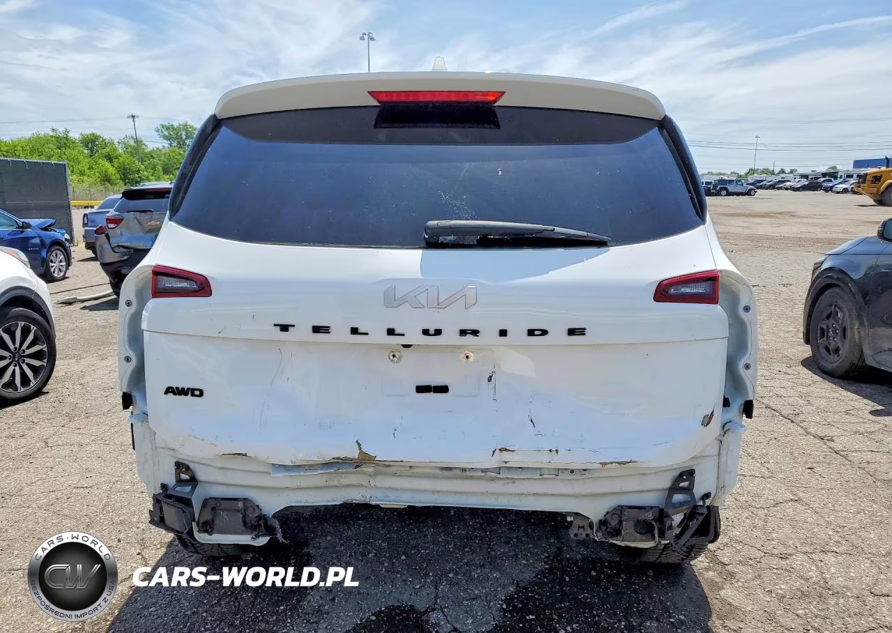 2022 Kia Telluride Ex VIN:5XYP3DHC0NG325535 - 6