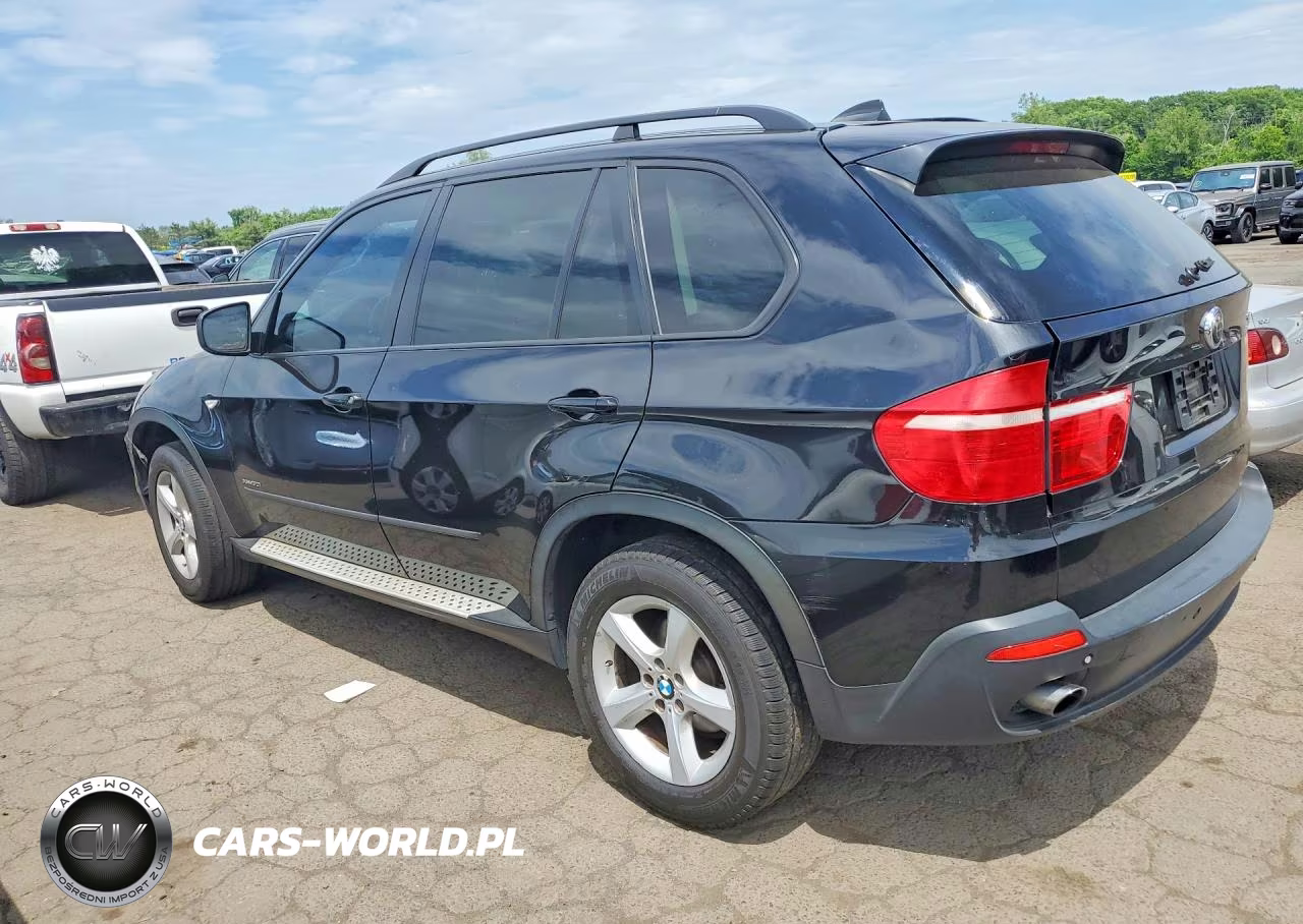 2009 BMW X5 xDrive30I VIN:5UXFE43529L264325 - 2