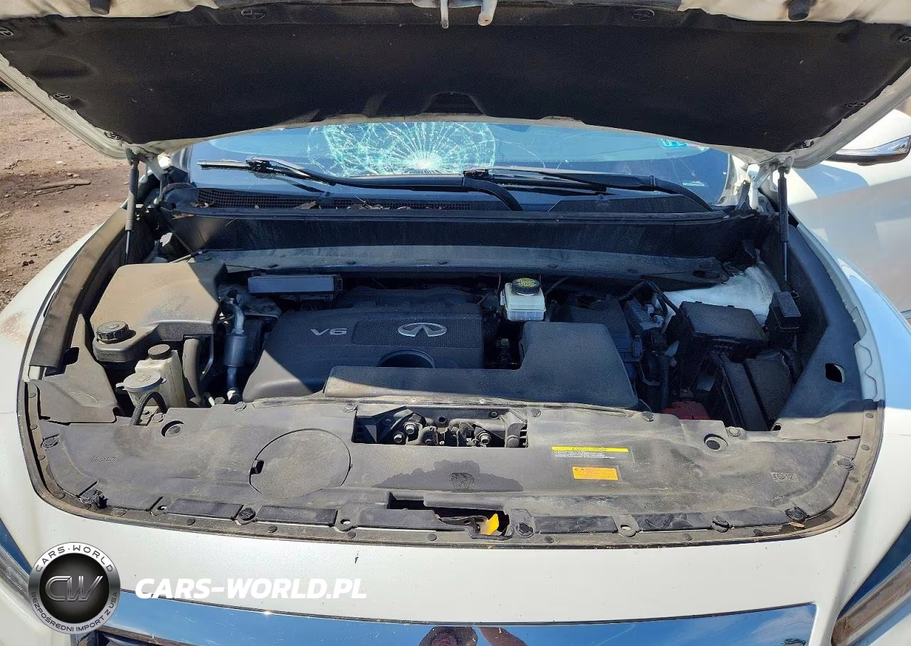 2019 Infiniti Qx60 Luxe VIN:5N1DL0MM1KC524521 - 12