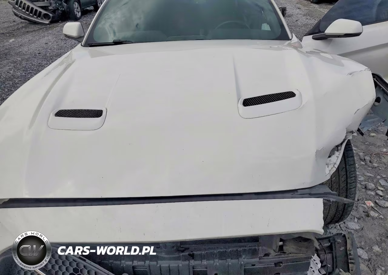 2019 Ford Mustang VIN:1FATP8UH9K5116686 - 11