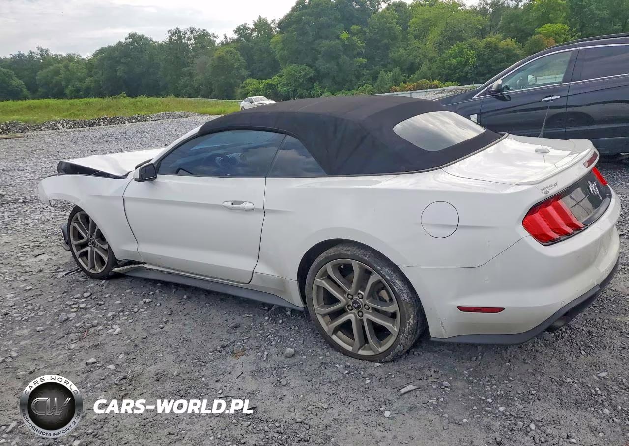 2019 Ford Mustang VIN:1FATP8UH9K5116686 - 2