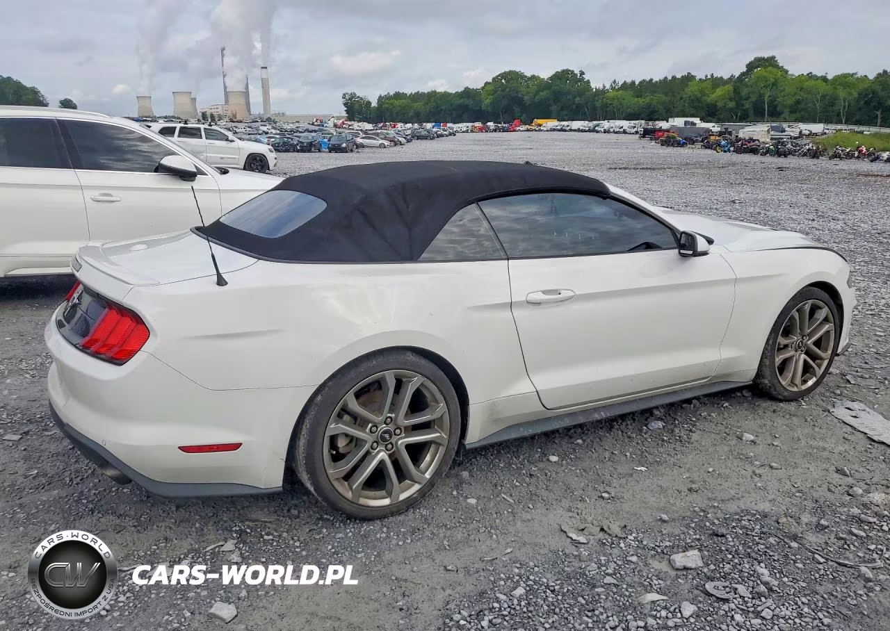 2019 Ford Mustang VIN:1FATP8UH9K5116686 - 3