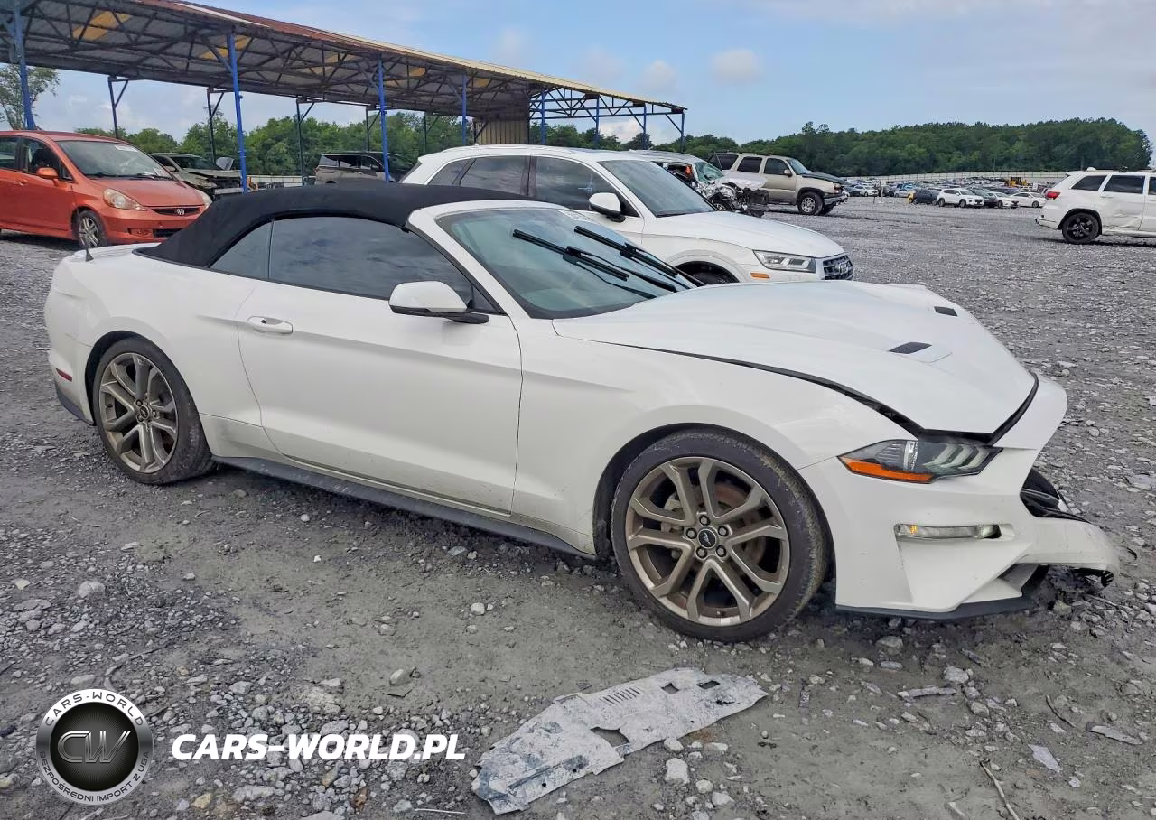 2019 Ford Mustang VIN:1FATP8UH9K5116686 - 4