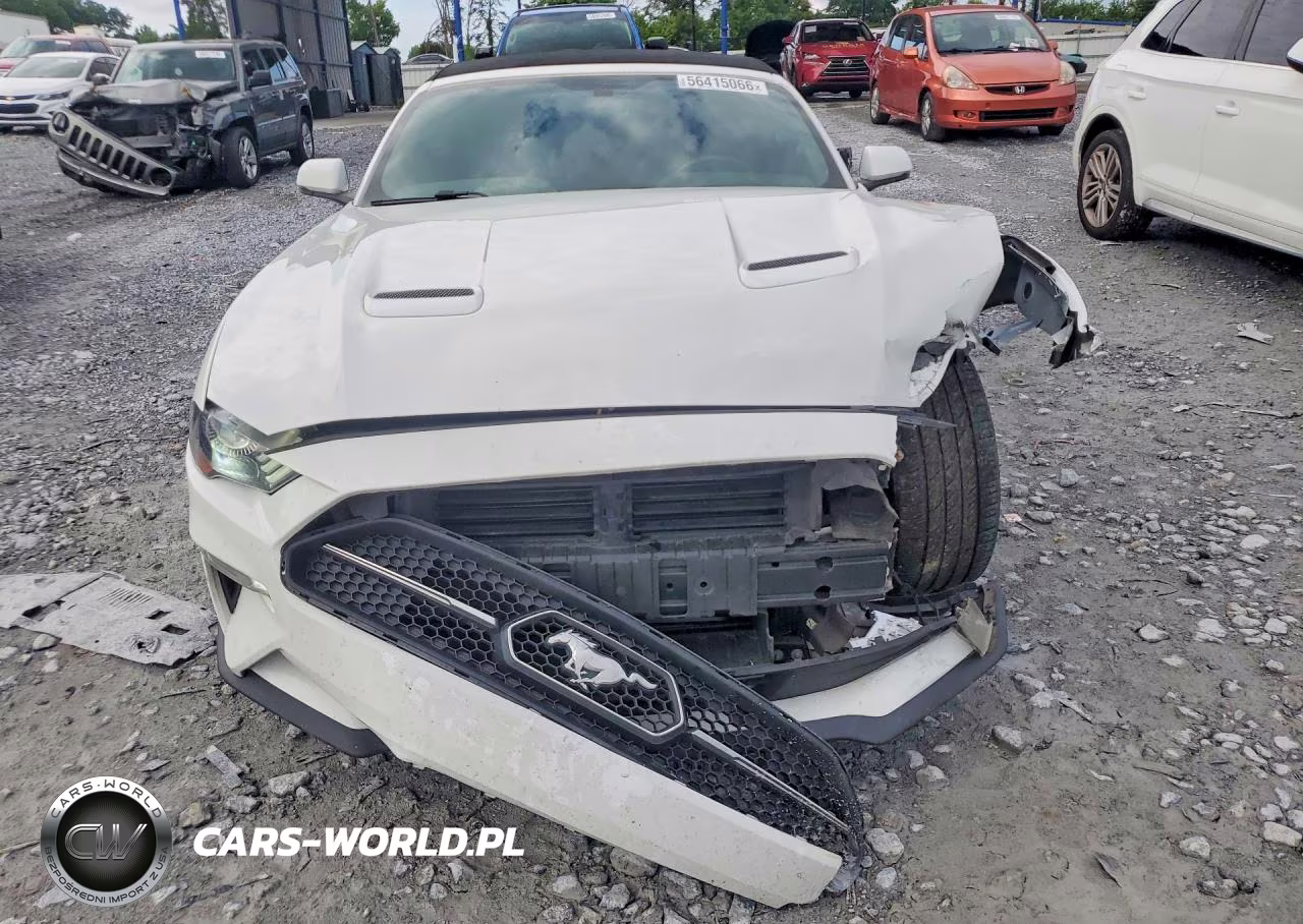 2019 Ford Mustang VIN:1FATP8UH9K5116686 - 5