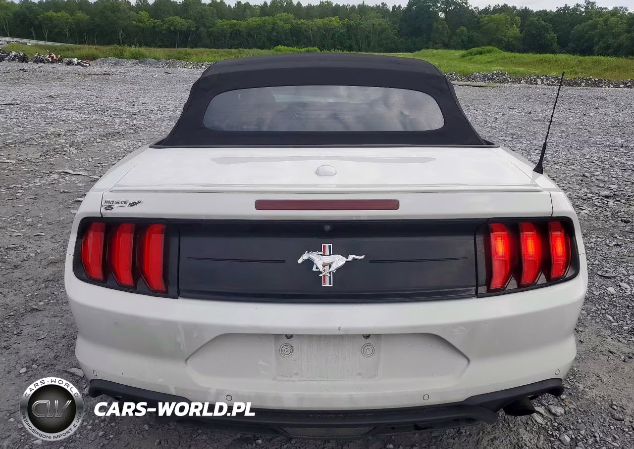 2019 Ford Mustang VIN:1FATP8UH9K5116686 - 6