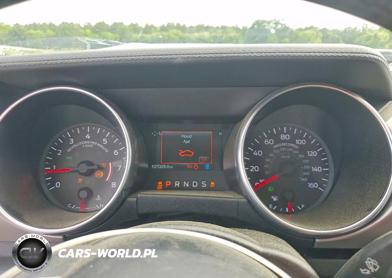 2019 Ford Mustang VIN:1FATP8UH9K5116686 - 9