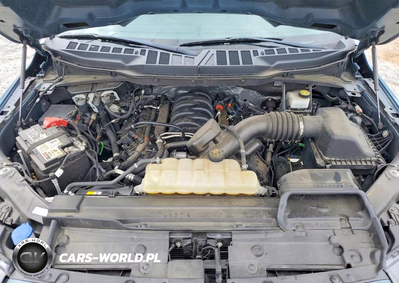 2023 Ford F150 Supercrew VIN:1FTFW1E57PKD25519 - 11