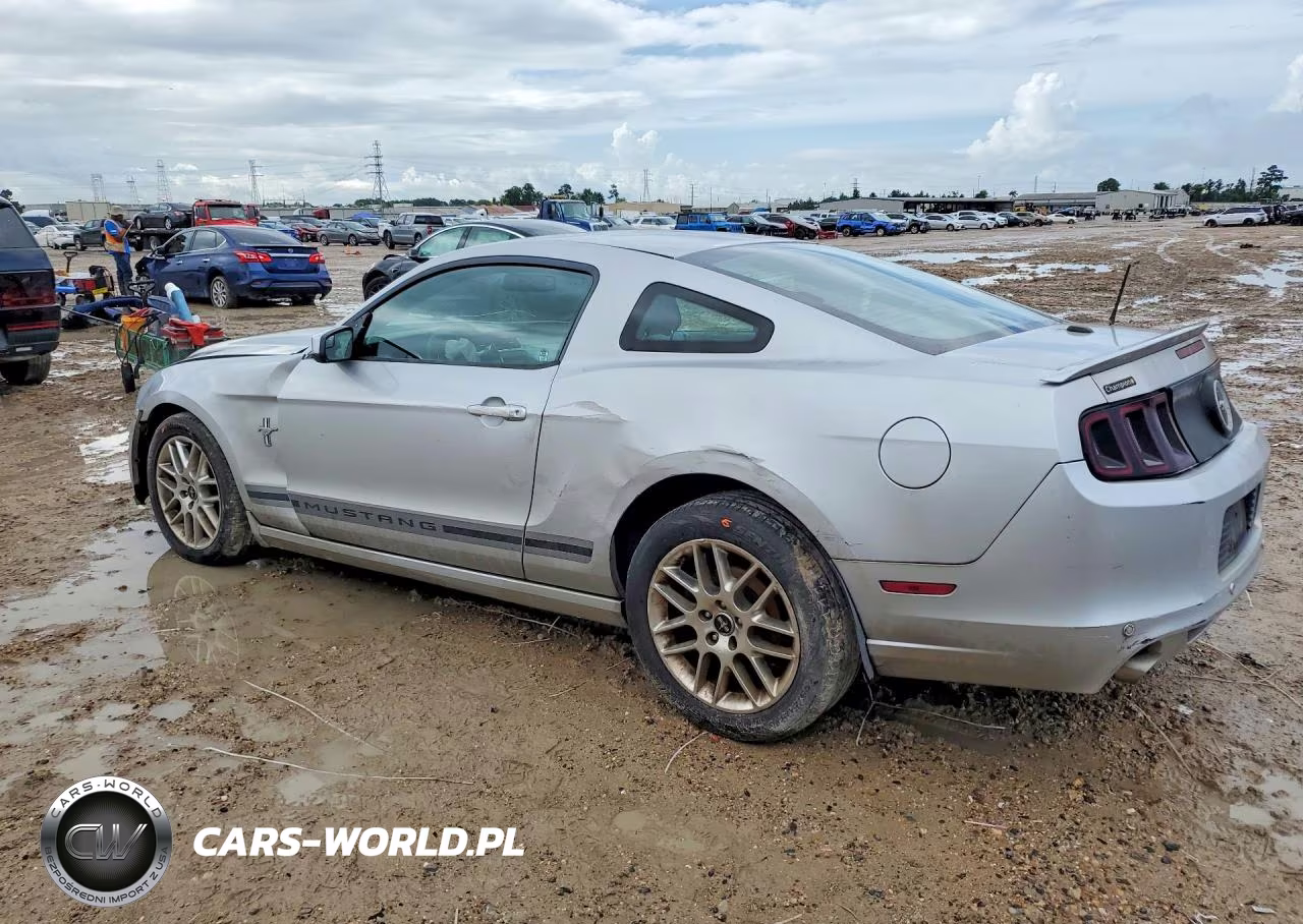 2013 Ford Mustang VIN:1ZVBP8AM0D5218594 - 2