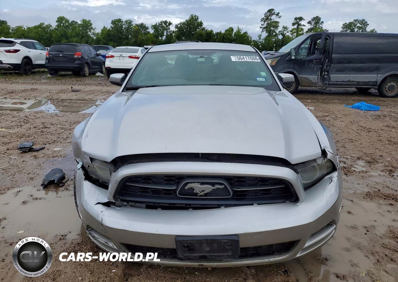 2013 Ford Mustang VIN:1ZVBP8AM0D5218594 - 5
