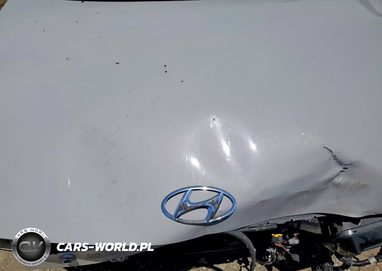 2023 Hyundai Ioniq 5 Limited VIN:KM8KRDAF7PU136584 - 11