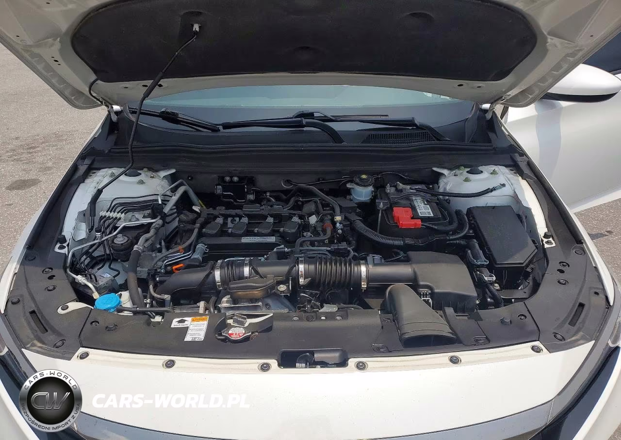 2019 Hond Accord VIN:1HGCV1F31KA031553 - 11