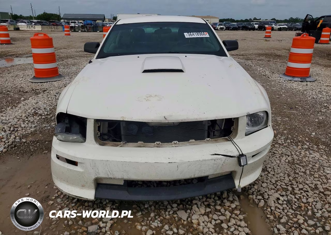 2008 Ford Mustang Gt VIN:1ZVHT82HX85159695 - 5