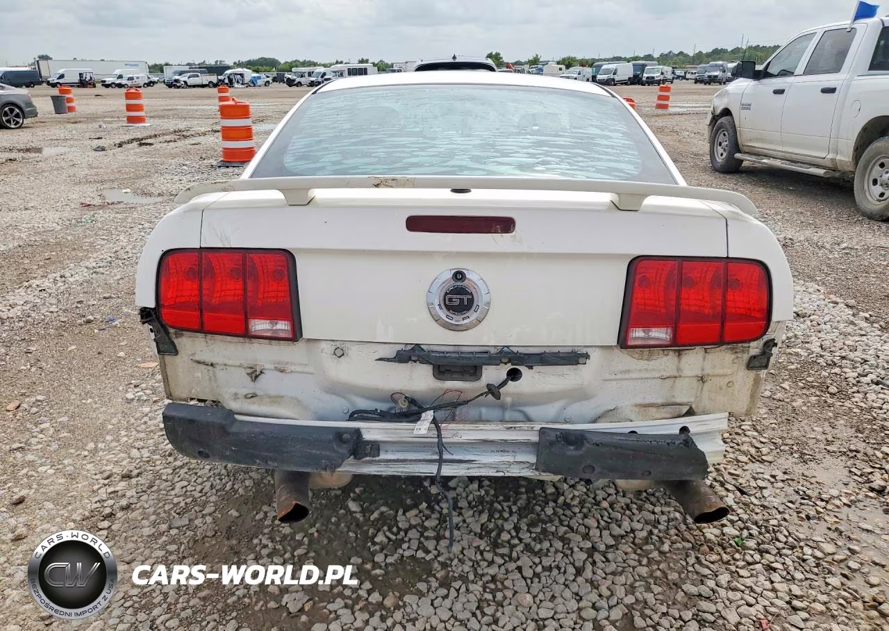 2008 Ford Mustang Gt VIN:1ZVHT82HX85159695 - 6