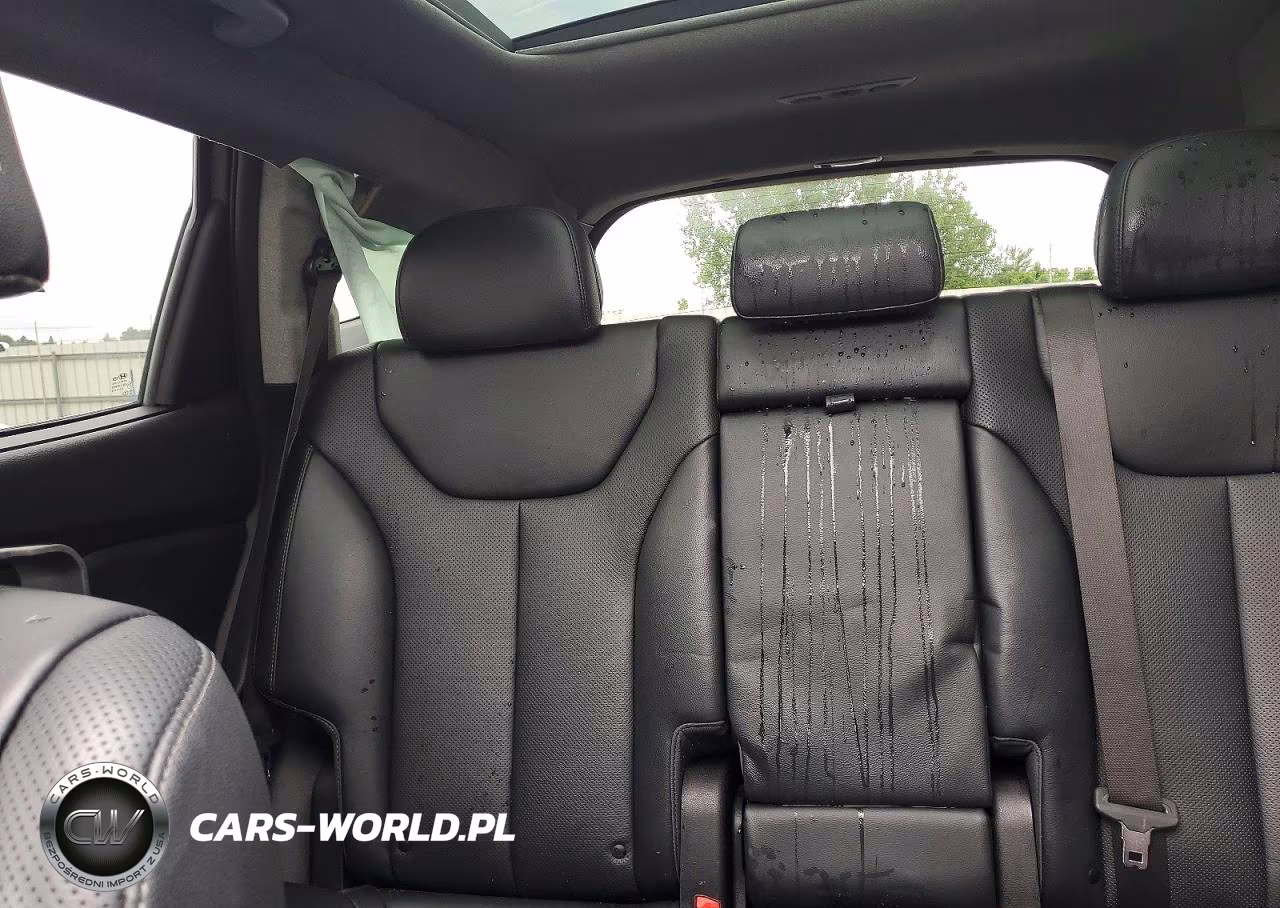2019 Hyundai Santa Fe Limited 2.0T VIN:5NMS53AA4KH101001 - 10