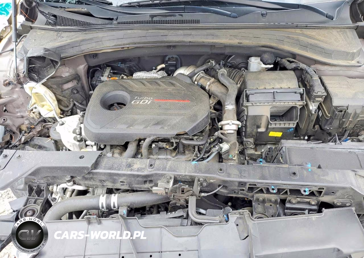 2019 Hyundai Santa Fe Limited 2.0T VIN:5NMS53AA4KH101001 - 12