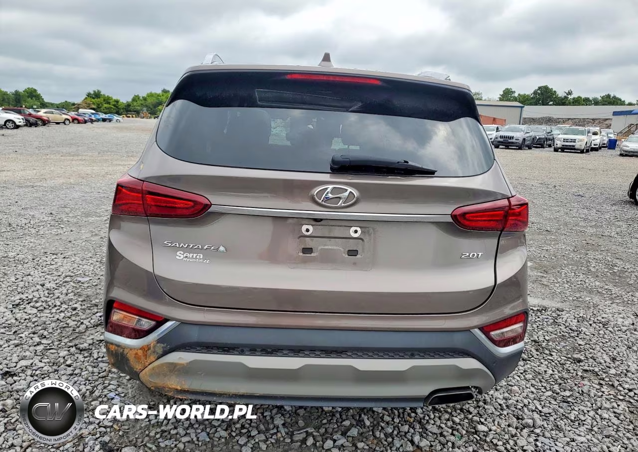 2019 Hyundai Santa Fe Limited 2.0T VIN:5NMS53AA4KH101001 - 6