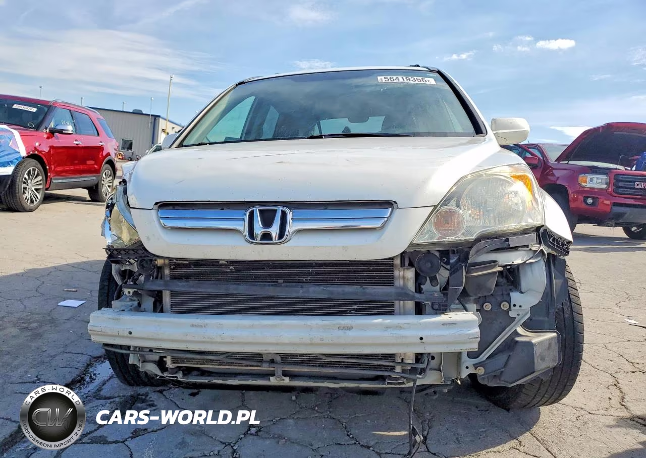 2009 Honda Cr-V Exl VIN:JHLRE38769C013362 - 5