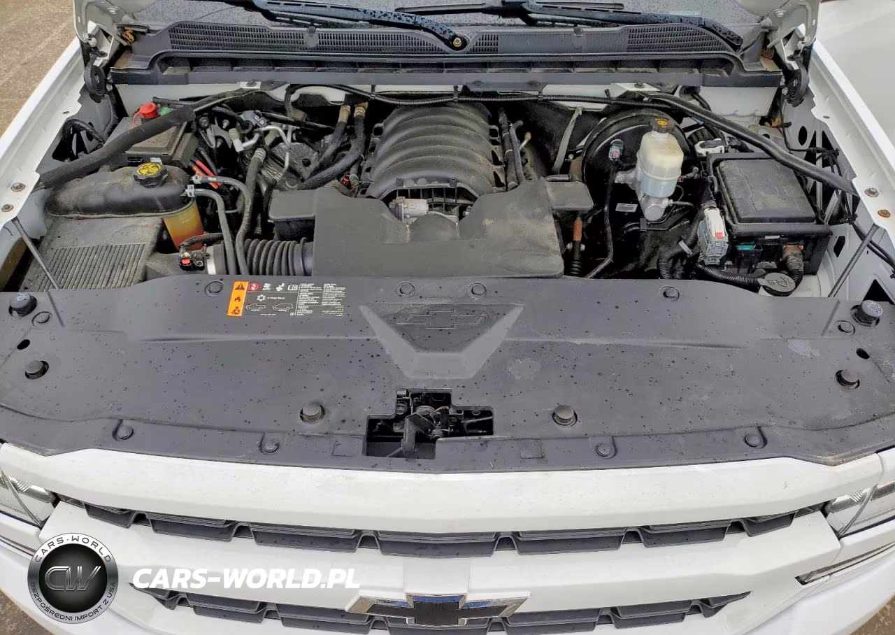 2019 Chevrolet Silverado Ld K1500 Custom VIN:2GCVKMEC6K1173524 - 11